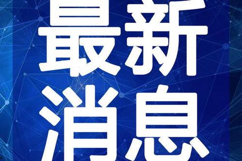 邯郸弘文爆料事件视频最新,真相揭露与舆论风暴